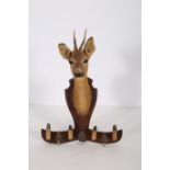 AN OAK WALL MOUNTED COAT HANGER with taxidermy head and brass hooks 70cm (h) x 51cm (w)