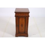 A 19TH CENTURY PITCH PINE PEDESTAL of rectangular outline the shaped top above a panelled door on