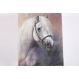 GILLIAN BINCHY TRUE COMMOTION CONNEMARA STALLION Oil on canvas Signed lower right and