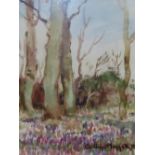 William Hoggatt RI, Crocus time at Kentraugh, Watercolour, Signed, 21 x 21 cm