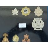 Twenty-five WWI / WWII Canadian and New Zealand regimental Cap badges mounted on boards