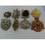 Eight helmet badges / plates: including Glengarry 28th Foot, 15th Foot, shako plate, 49th Foot,