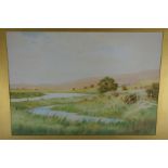 David Murray, River in landscape, Watercolour, Signed initials, 15 x 21 ins.