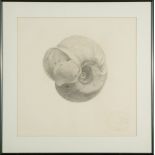 Gendron Jensen (American/New Mexico, 1939-2019), "Untitled", 1976, graphite on paper, pencil-