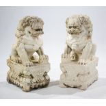 Pair of Chinese Marble Buddhist Lions , carved seated on their haunches on rectangular plinths, male