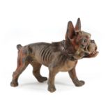 French Papier-Mache "Growler" Bulldog Pull Toy , c. 1890, leather and badger hair collar, wooden