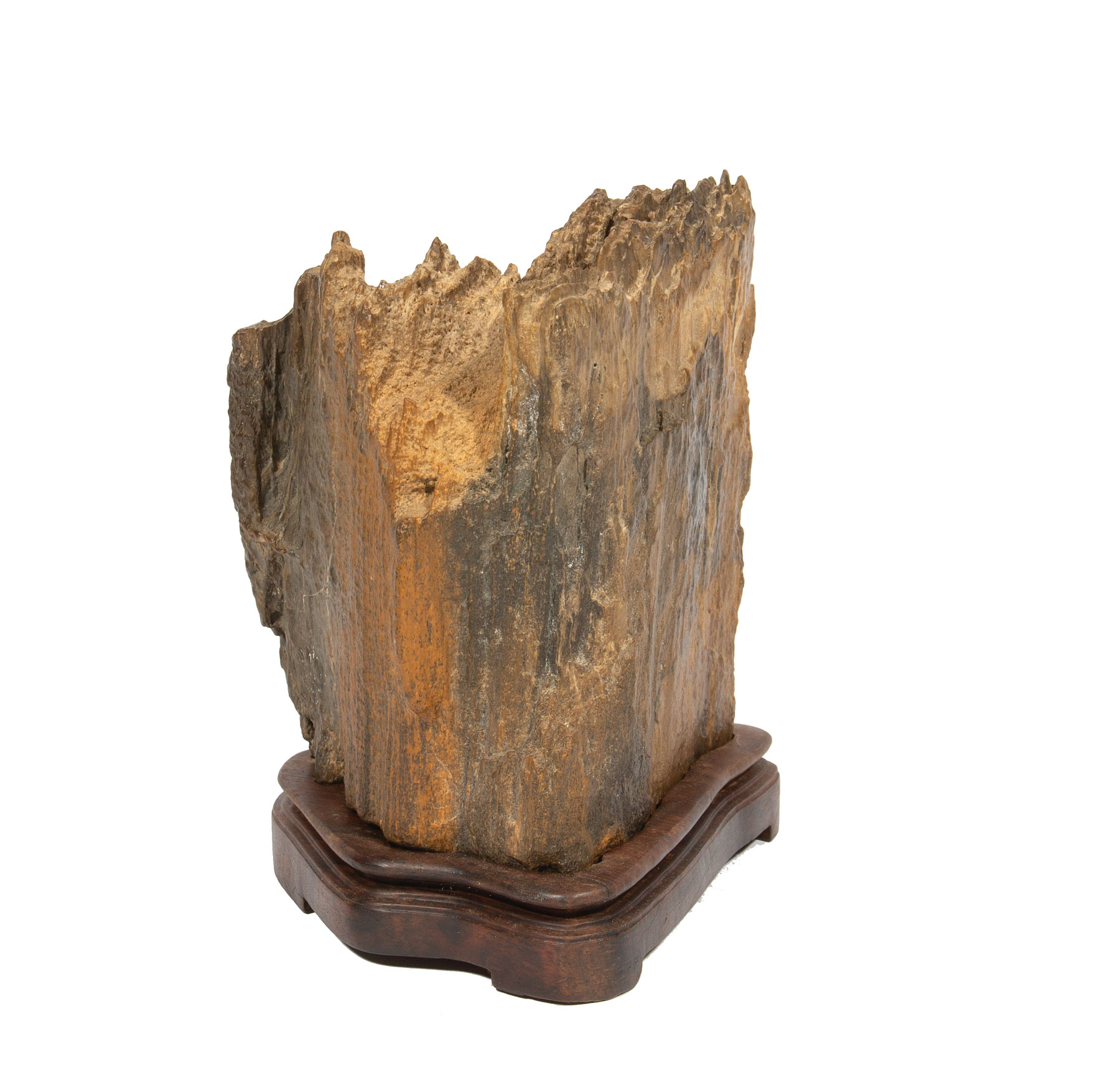 Chinese Scholar's Rock or Fossil , h. 5 5/8 in., fitted wood stand, overall h. 6 1/2 in . - Image 2 of 2