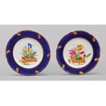 Twelve Brownfield & Son Polychrome and Gilt Porcelain Plates , late 19th c., marked, floral