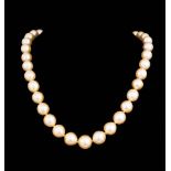 South Sea Pearl Necklace , 37 graduated off-to-round Gold cultured pearls, 10-13 mm; 14 kt. yellow