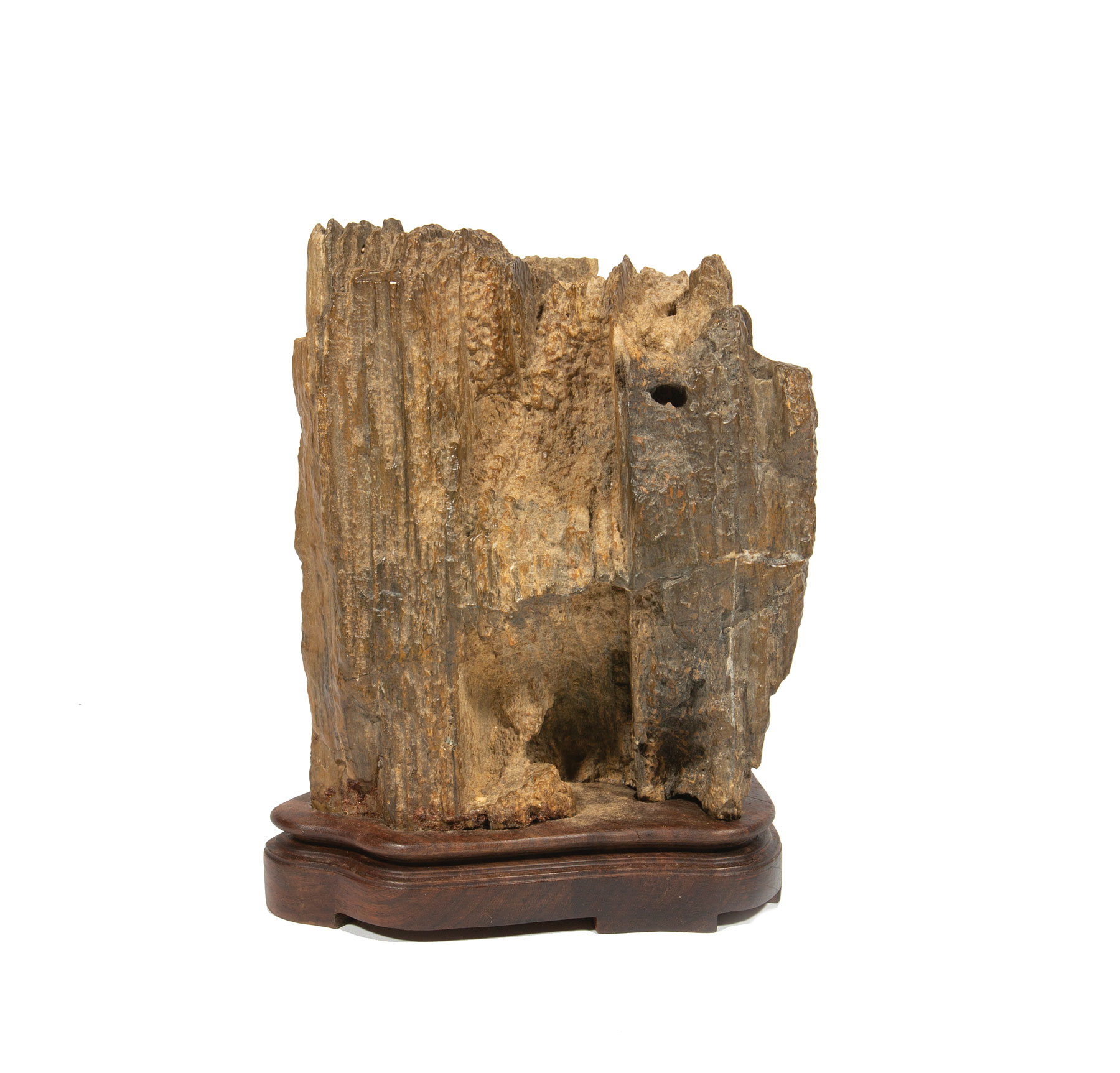 Chinese Scholar's Rock or Fossil , h. 5 5/8 in., fitted wood stand, overall h. 6 1/2 in .