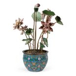 Chinese Cloisonne Enamel Jardiniere Set with Enameled Lotus Flowers and Leaves , early 20th c.,