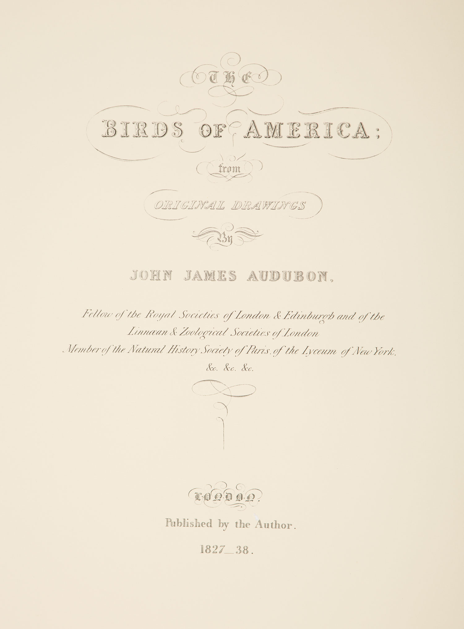 John James Audubon (American, 1785-1851) , The Birds of America, Edition Leipzig, Leipzig and - Image 2 of 3