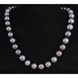 Tahitian Pearl Necklace , 35 graduated round Very Dark Gray cultured pearls, 12-14 mm; 14 kt.