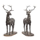 Pair of Cast Iron Garden Figures of Stags , full racks, opposing stance, self-base, h. 60 in., w. 40