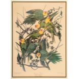 John James Audubon (American, 1785-1851) , "Carolina Parrot", Plate 26, color reproduction, from The