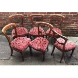 A set of six Victorian, stained mahogany standard chairs, each with red floral upholstered stuff