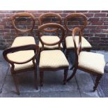 A set of six victorian mahogany balloon back chairs with yellow upholstered stuff over seats, carved
