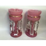 A pair of Victorian pink lustres with scalloped edges, decorated with gilt highlights and hung