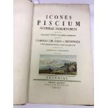 MEIDINGER, Carl von. Icones Piscium Austriae indigenorum. Vienna: Baumeister Press for the Author,