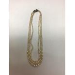 A three row pearl necklace of graduated cultured pearls with a silver clasp, 39cm including clasp