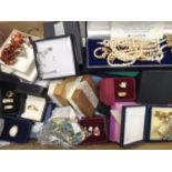 A large quantity of costume jewellery including silver and amber ring, earrings and necklace, Rennie