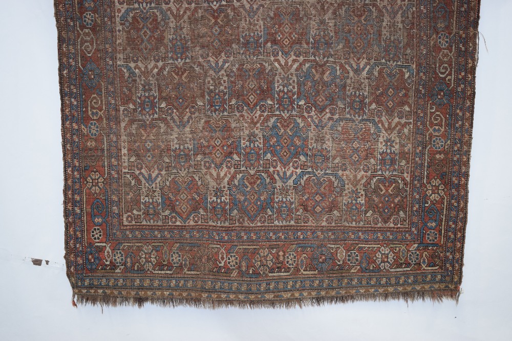 Afshar rug with ivory field, Kerman area, south east Persia, circa 1920s-30s, 6ft. 2in. x 4ft. - Image 5 of 8