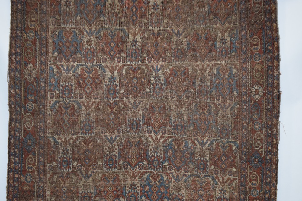 Afshar rug with ivory field, Kerman area, south east Persia, circa 1920s-30s, 6ft. 2in. x 4ft. - Image 4 of 8