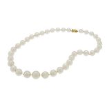 South Sea Pearls