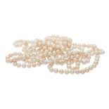 Strand of Freshwater Pearls