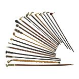 Collection of Twenty Canes and Walking Sticks
