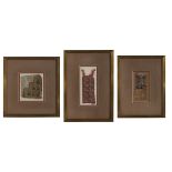 Three Framed Peruvian Textile Fragments