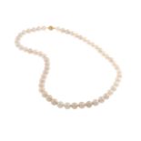 South Sea Pearl and Diamond Necklace