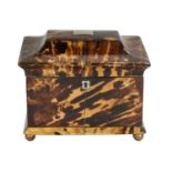 William IV Tortoiseshell Tea Caddy