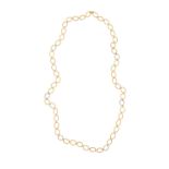 Long Gold and Diamond Necklace