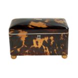 Victorian Tortoiseshell Tea Caddy