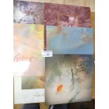 Records : COCTEAU TWINS - superb collection of 5 o