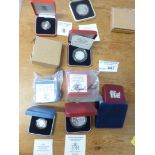 Coins : GB 10 boxed various proofs & piedfortsninc