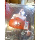 Boxing : Roberto Duran Signed glove inside a speci