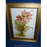 A botanical painting on a milk glass panel, framed.