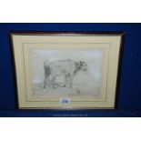 A Pencil drawing of a cow by Gustav Dore