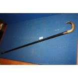 A gold banded horn handled Walking stick