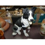 A Border Fine Arts fireside Collie dog. 14 3/4" tall.