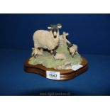 A Border Fine Arts, Ewe and Lamb 'Spring lambing', with base (tail on feeding lamb repair).