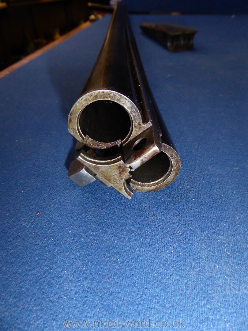 An antique 12 bore side by side double trigger, - Image 14 of 14