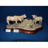 A Border Fine Arts 'Winter Rations' model with Charolais cross, no: BO803b, made in Scotland.