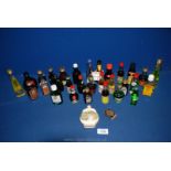 A box of miniature alcohol bottles to include; Harvey's Bristol Cream, Scrumpy, Vodka, Bacardi, etc.