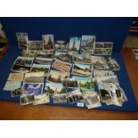 A small selection of Postcards including French churches, animals and photographs.