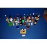 A box of miniature alcohol bottles to include; Irish Cream Liqueur, Cointreau, Gordon's Gin, etc.