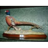 A large Border Fine Arts 'Autumn Glory' pheasant, Limited Edition no: 664/950,