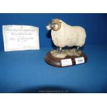 A Border Fine Arts, black faced Ram 'Style One' cert. no. 630/750.